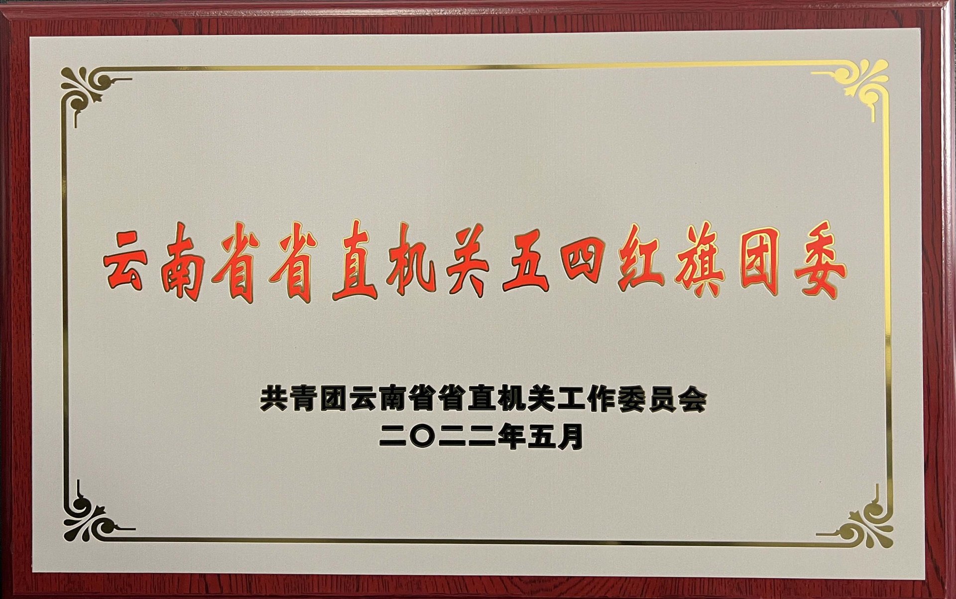 着力提升团的组织力