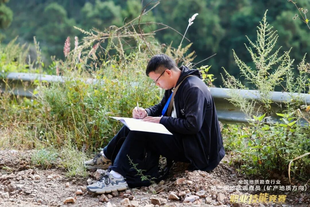 在错综复杂的数据中洞察大地深处的成矿