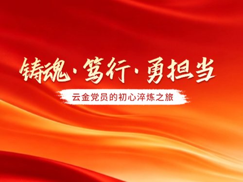 寻根红色摇篮 淬炼党性真金 | 开云