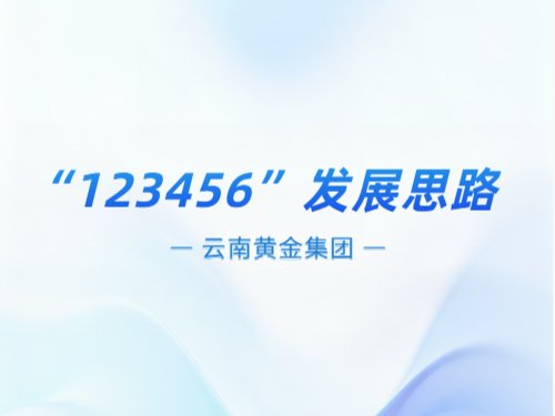 开云平台手机版登录